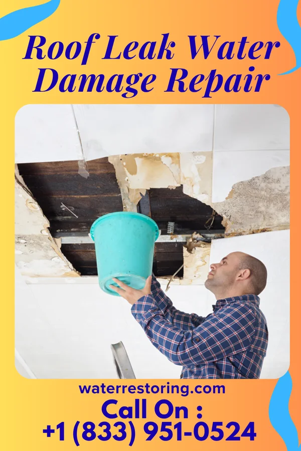 Roof Leak Water Damage Repair in Sulphur Rock, AR
